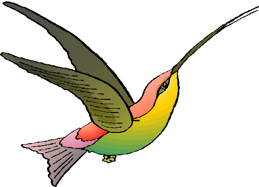 hummingbird